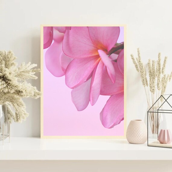 Pink Plumeria Print Floral Living Room Flower Nursery Art Frangipani Wall Tropical Decor