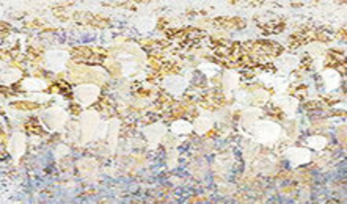 Silver Gold Birch Stems Minimalist Panoramic Oil Painting Art Print - Image 3
