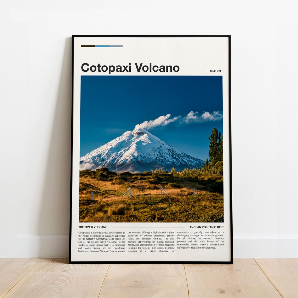 Cotopaxi Volcano Ecuador Snow Capped Travel Fact Sheet Poster