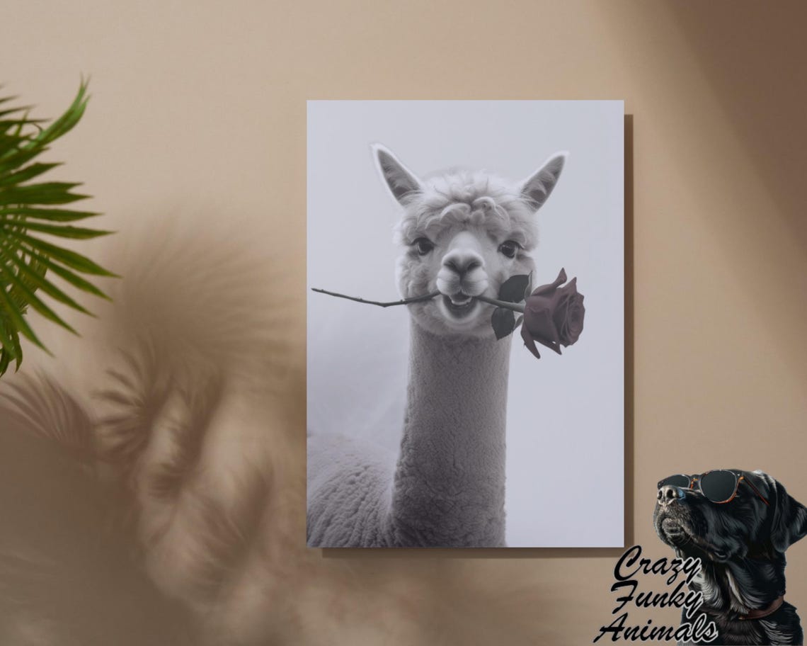 Alpaca Holding a Red Rose in Its Mouth Romantic Black and White Poster - Image 2