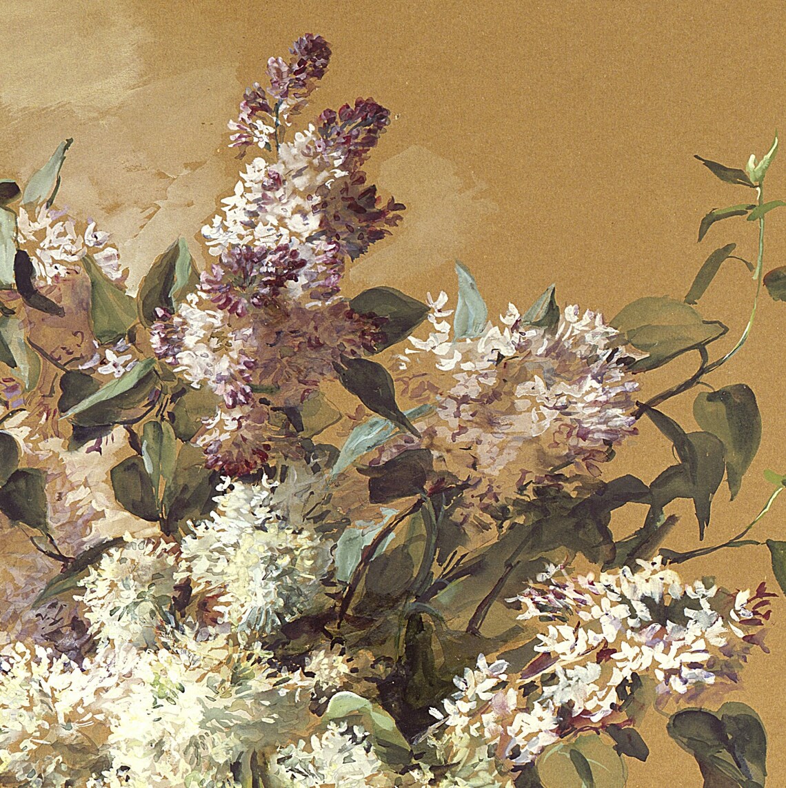 Vintage Lilac Blossom Bouquet Still Life Gold Background Poster - Image 3