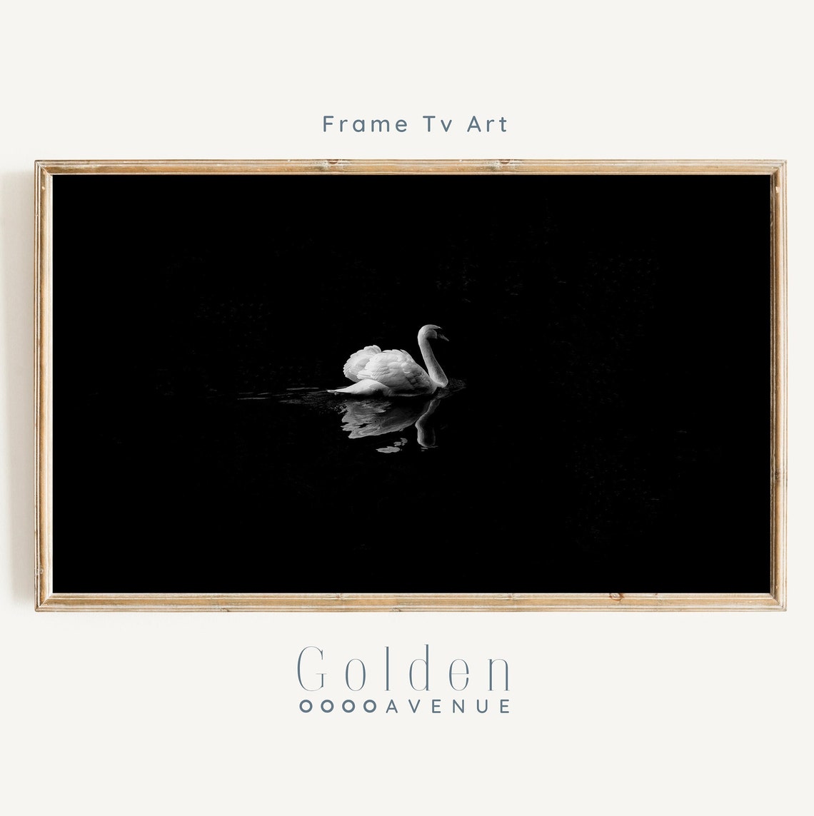 White Swan On Black Water Minimalist Black And White Photo Poster