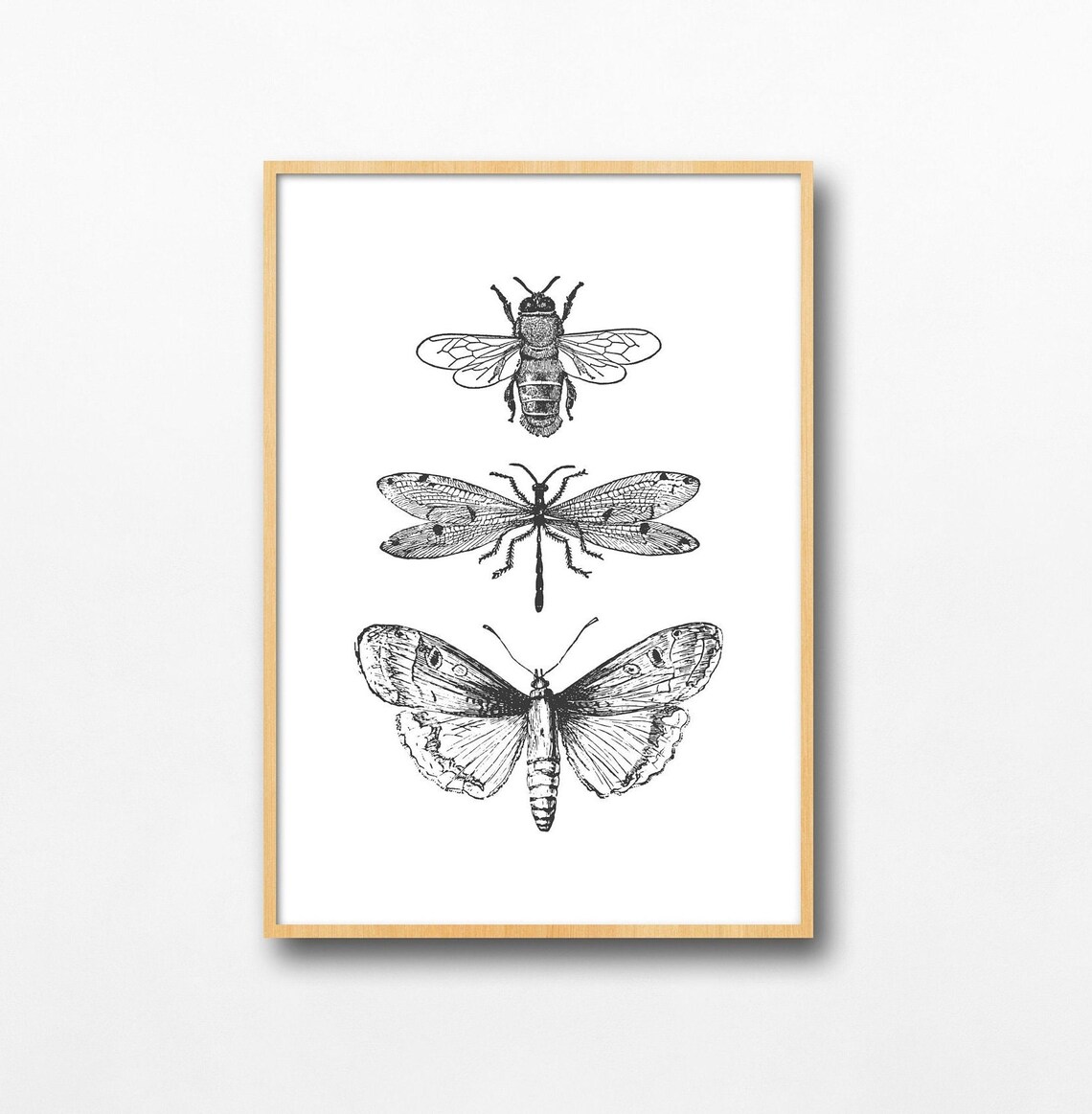 Bee Moth Dragonfly Sketch Trio, Minimal Ink Line Art Print