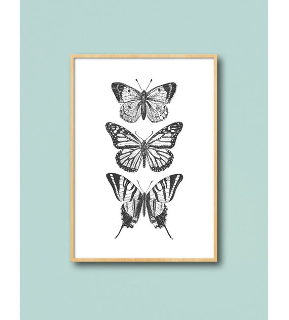 Butterfly Sketch Trio Minimal Ink Line Art Drawing Celestial Mystic Apothecary Moth Aesthetic Cottagecore Vintage Boho Style
