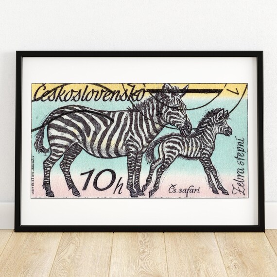 Czechoslovakia Zebra Stepni Safari Mother Foal Stamp Art Poster