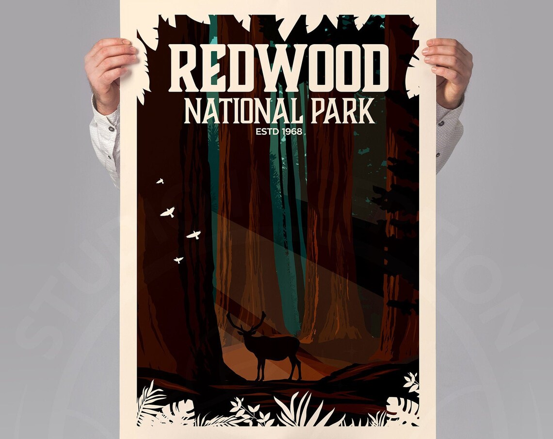 Redwood National Park Travel Poster, Park Print Art - Image 3