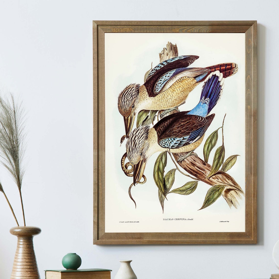 John Gould Fawn Breasted Kingfishers With Snake Australia Poster - Image 2