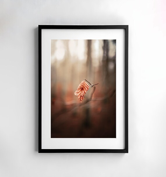 Single Copper Autumn Leaf Clinging to a Twig in Forest Poster