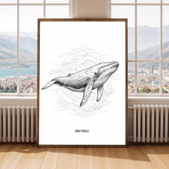 Gray Whale Print Black And White Ink Illustration Marine Art