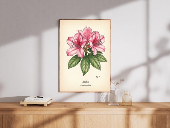 Azalea Flower Print Vintage Botanical Watercolor Illustration