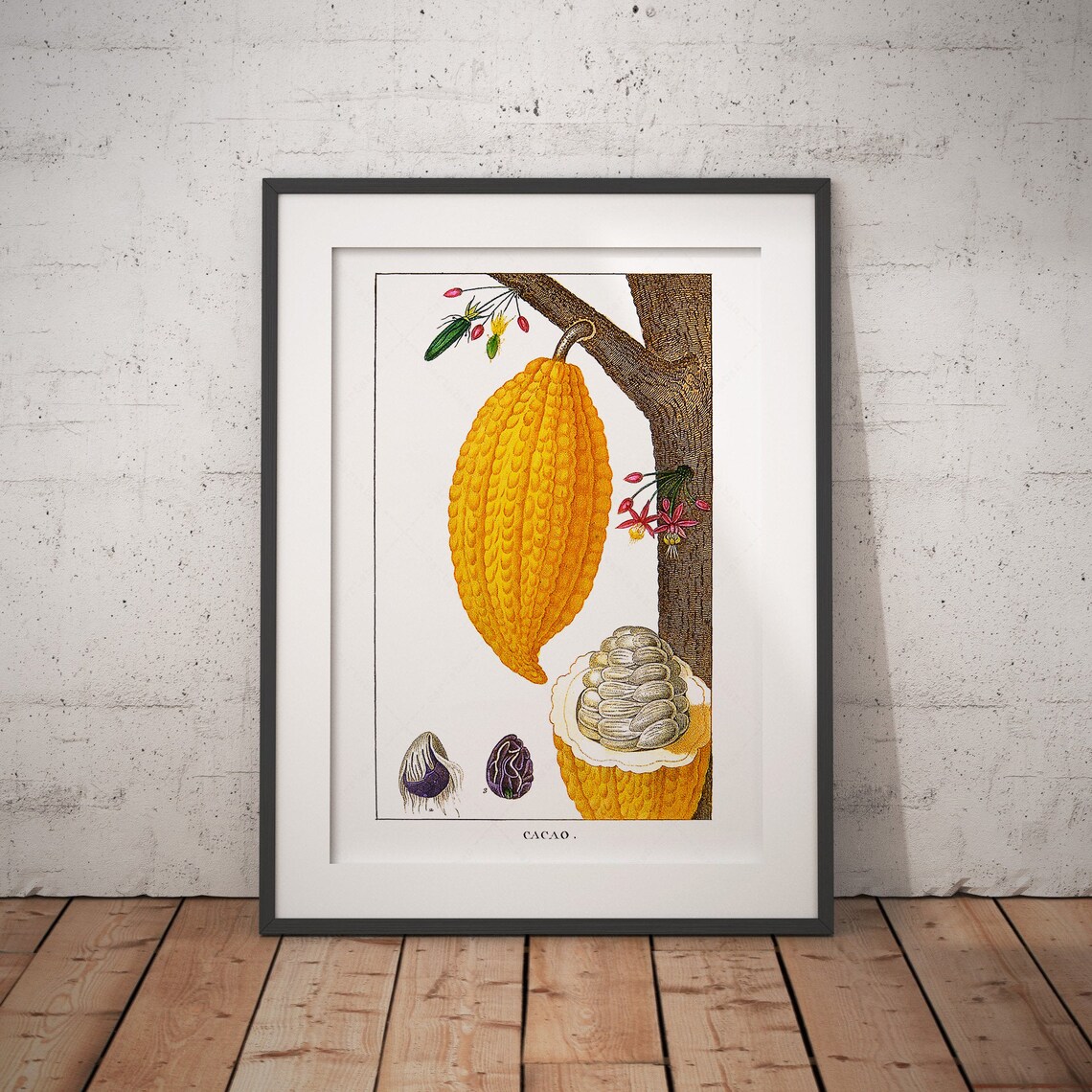 Theobroma Cacao Botanical Plate, Kitchen Art Print - Image 3