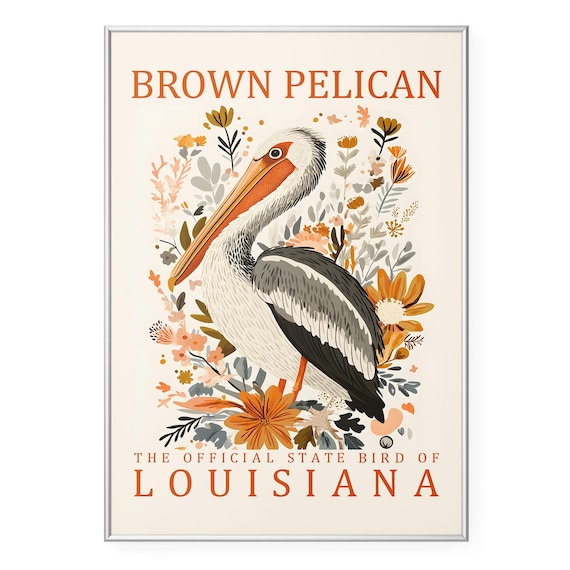 Brown Pelican Wall Art Print Louisiana State Bird Poster Vintage Wildlife Artwork Rustic Coastal Botanical Illustration Decor