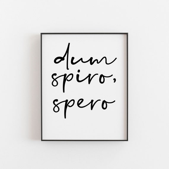 Dum Spiro Spero Spanish Quote Art Print, Spain