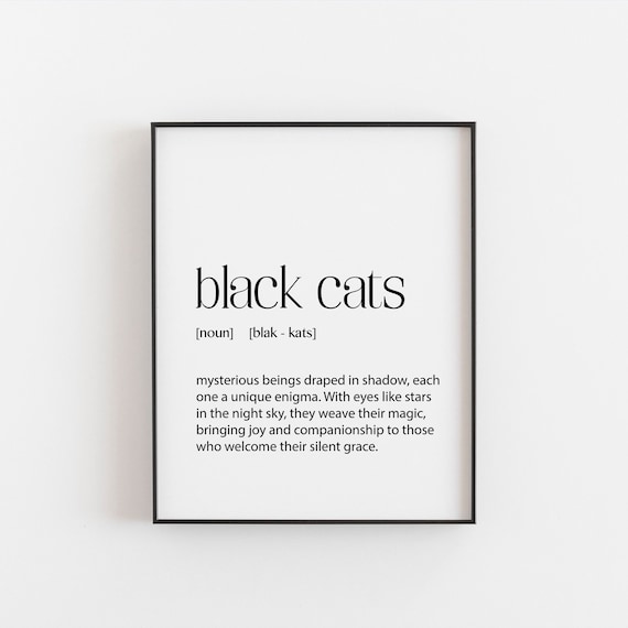Black Cats Dictionary Definition Mysterious Cat Lover Poster