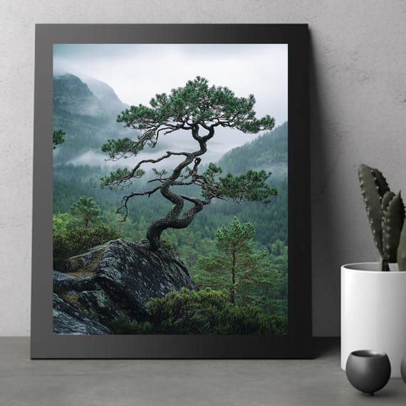 Twisted Tree Artwork Rustic Nature Scene Print Foggy Forest Print Landscape Greenery Framed Print Or Printed Poster