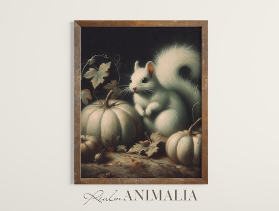 White Squirrel With White Pumpkins Dark Moody Fall Still Life Art Poster
