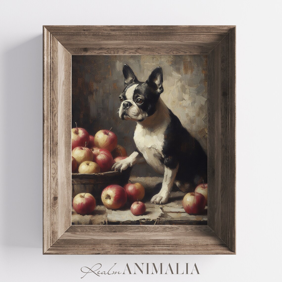 Vintage Boston Terrier Portrait, Dog Art Print - Image 3