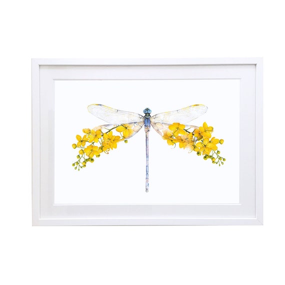 Dragonfly Wildlife Art Print