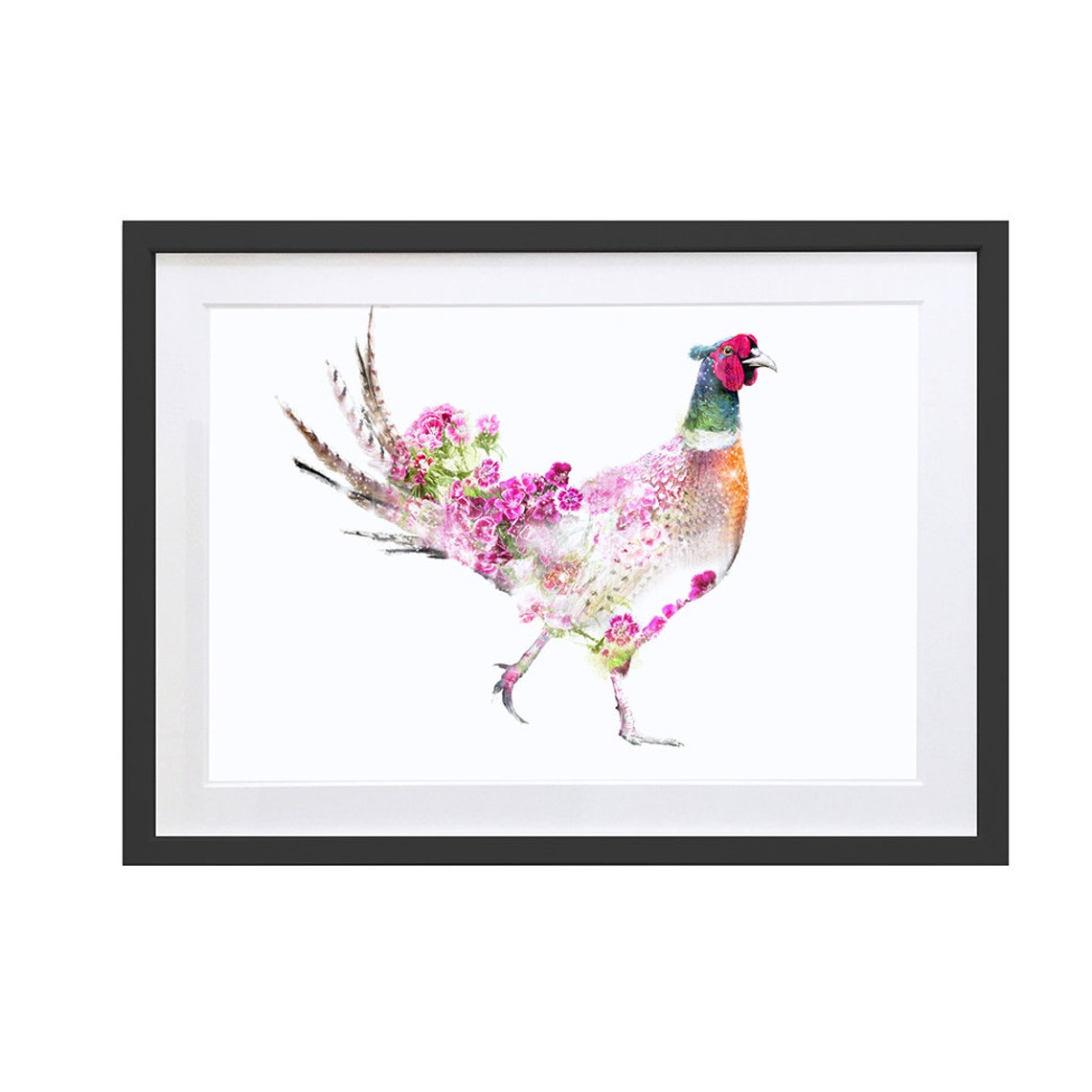Pheasant Wildlife Art Print