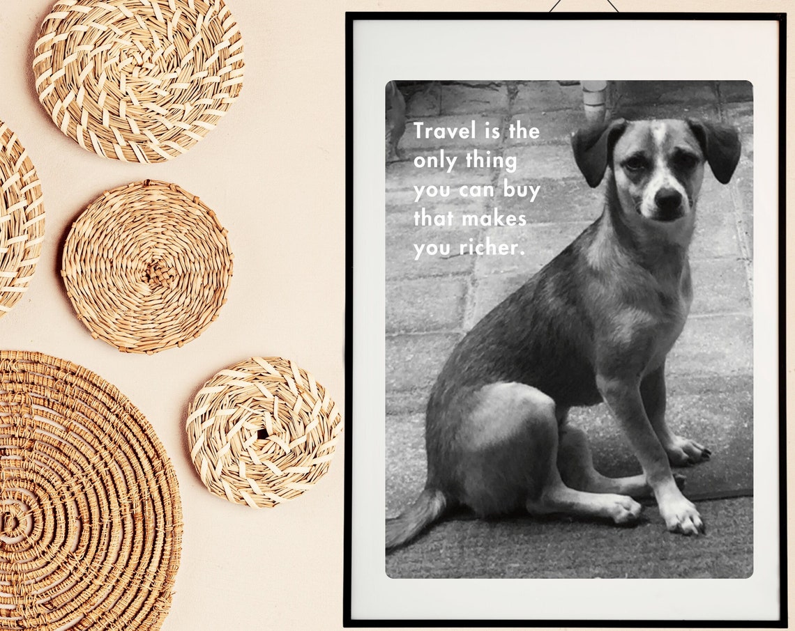 Travel Makes You Richer Inspired Travel Art Print Cute Dog Photo Wall Sassy Dog Gift Love Cute Dog Photo Gift Sassy Stray Love - Image 3