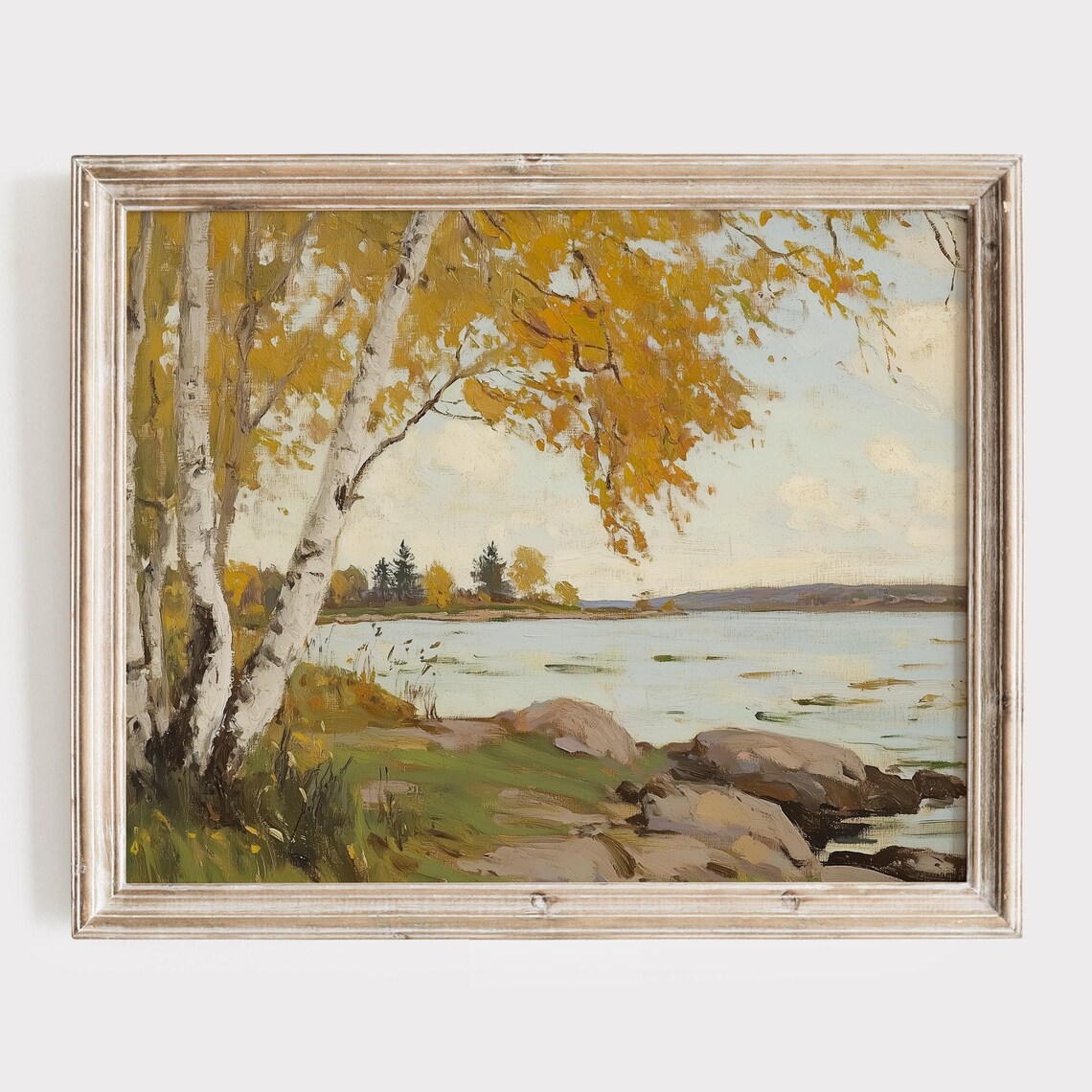 Golden Birch Branches Arching Over a Rocky Lakeshore Painting Poster
