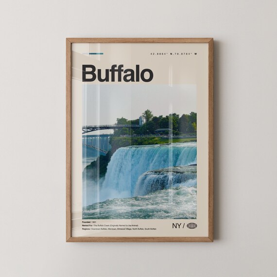 Buffalo Print New York Wall Art Poster Photo Niagara Falls Zoo Albrightknox Gallery Canalside
