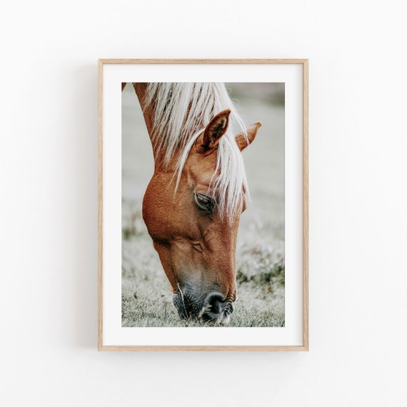 Wild Horse Nature Art Print, Living Room Decor