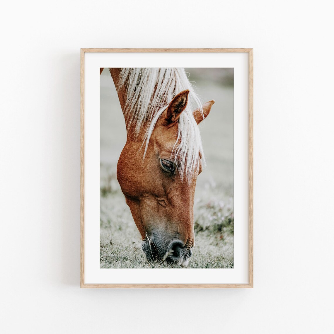 Wild Horse Nature Art Print, Living Room Decor