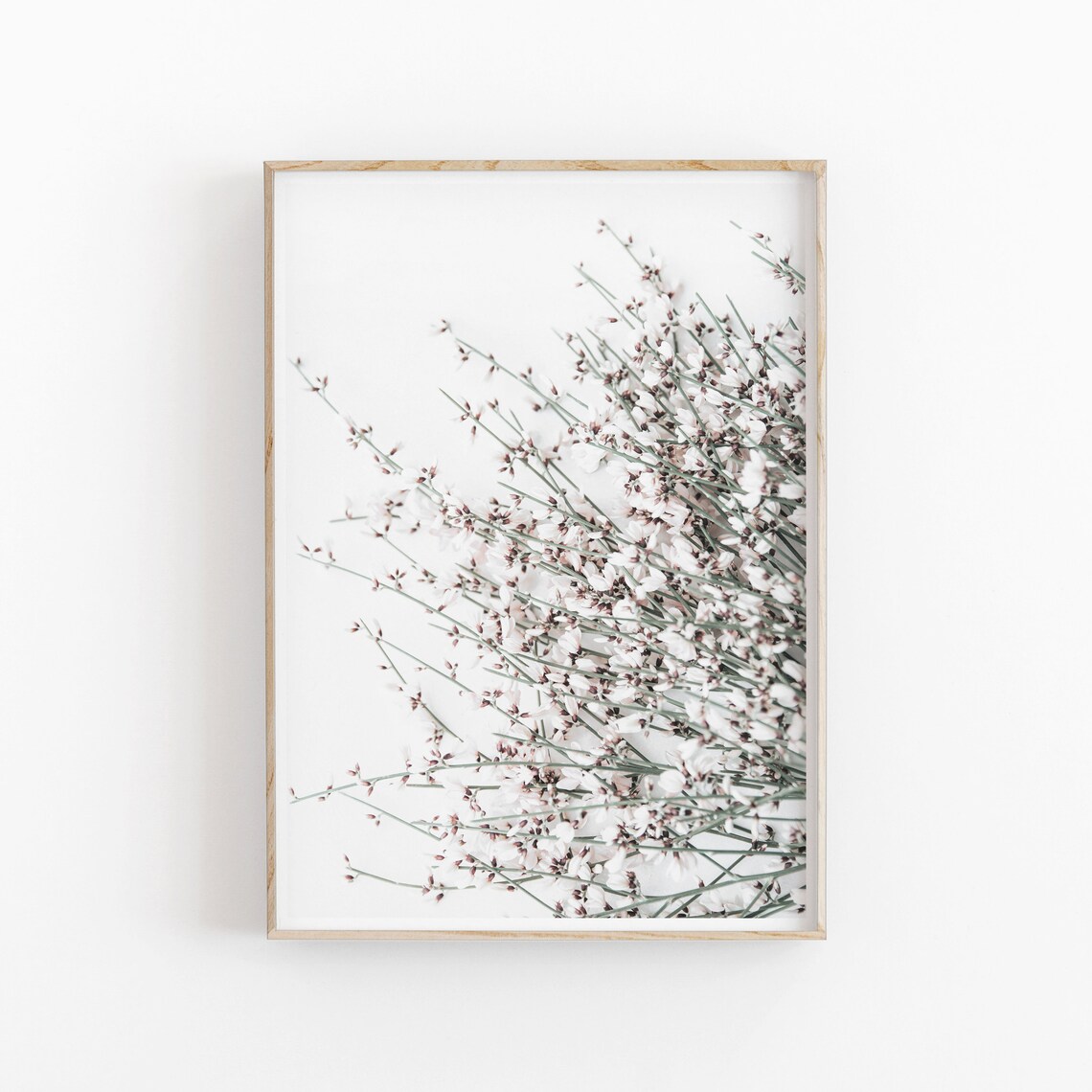 Wild Flower Botanical Art Print, Floral Wall Decor - Image 2