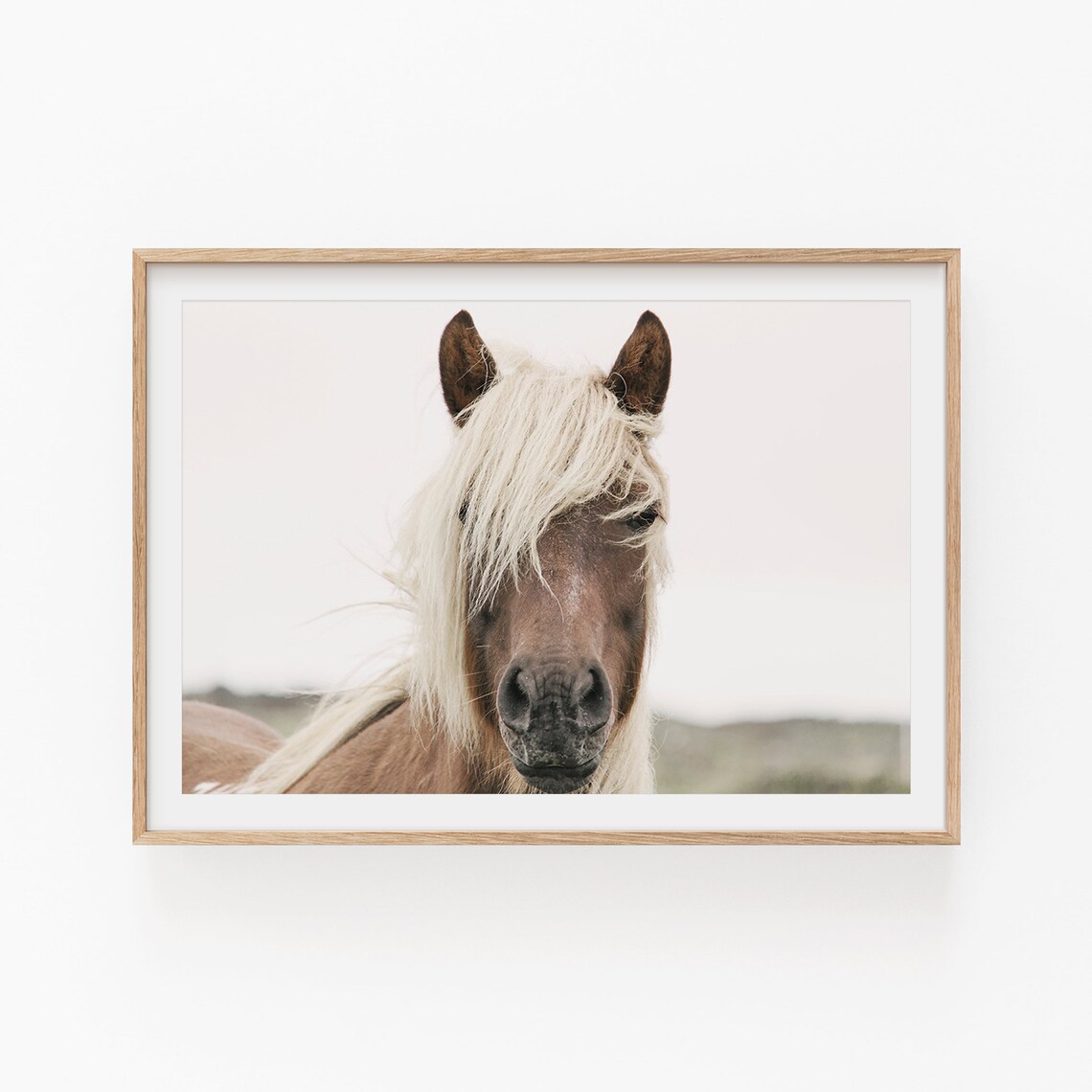 Horse Photography Minimalist Art Print, Modern Decor