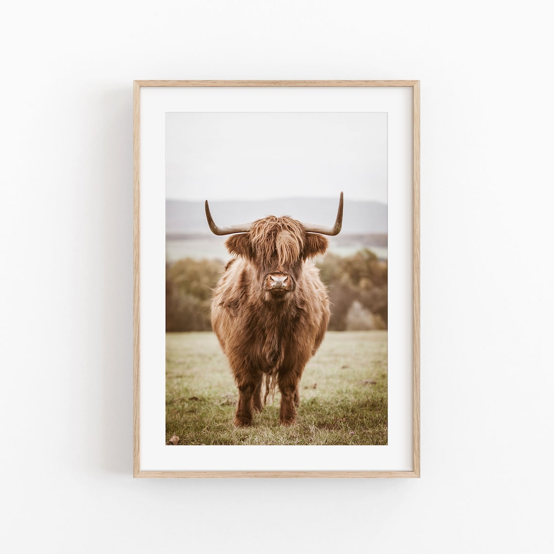 Highland Cow Modern Minimalist Art Print