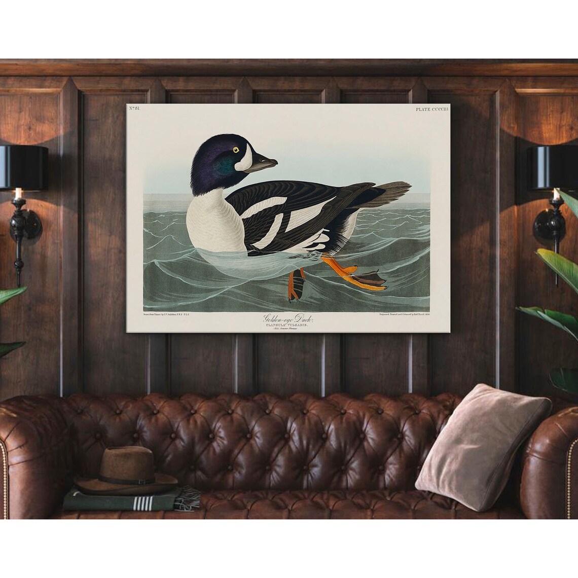 Audubon Golden Eye Duck Vintage Bird Plate Art Print for Walls - Image 4