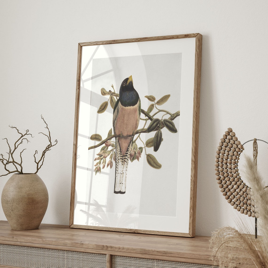Colorful Trogon Bird Antique Ornithology Plate Branch Perch Art Poster - Image 4