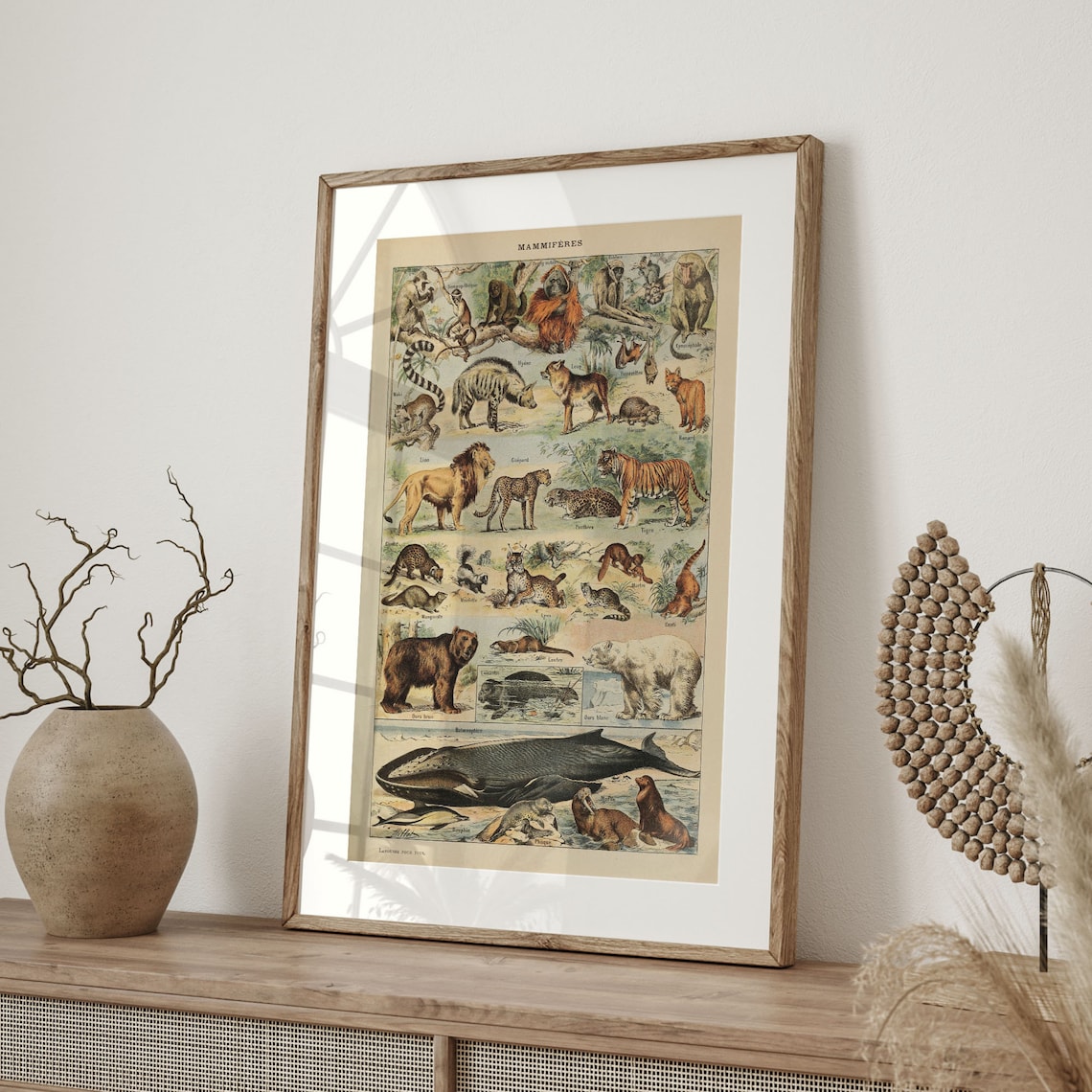 Adolphe Millot Vintage Animal Chart Art Print - Image 4