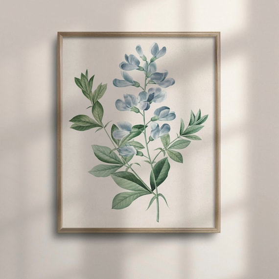 Vintage Blue Wildflower Botanical Illustration Watercolor Floral Poster