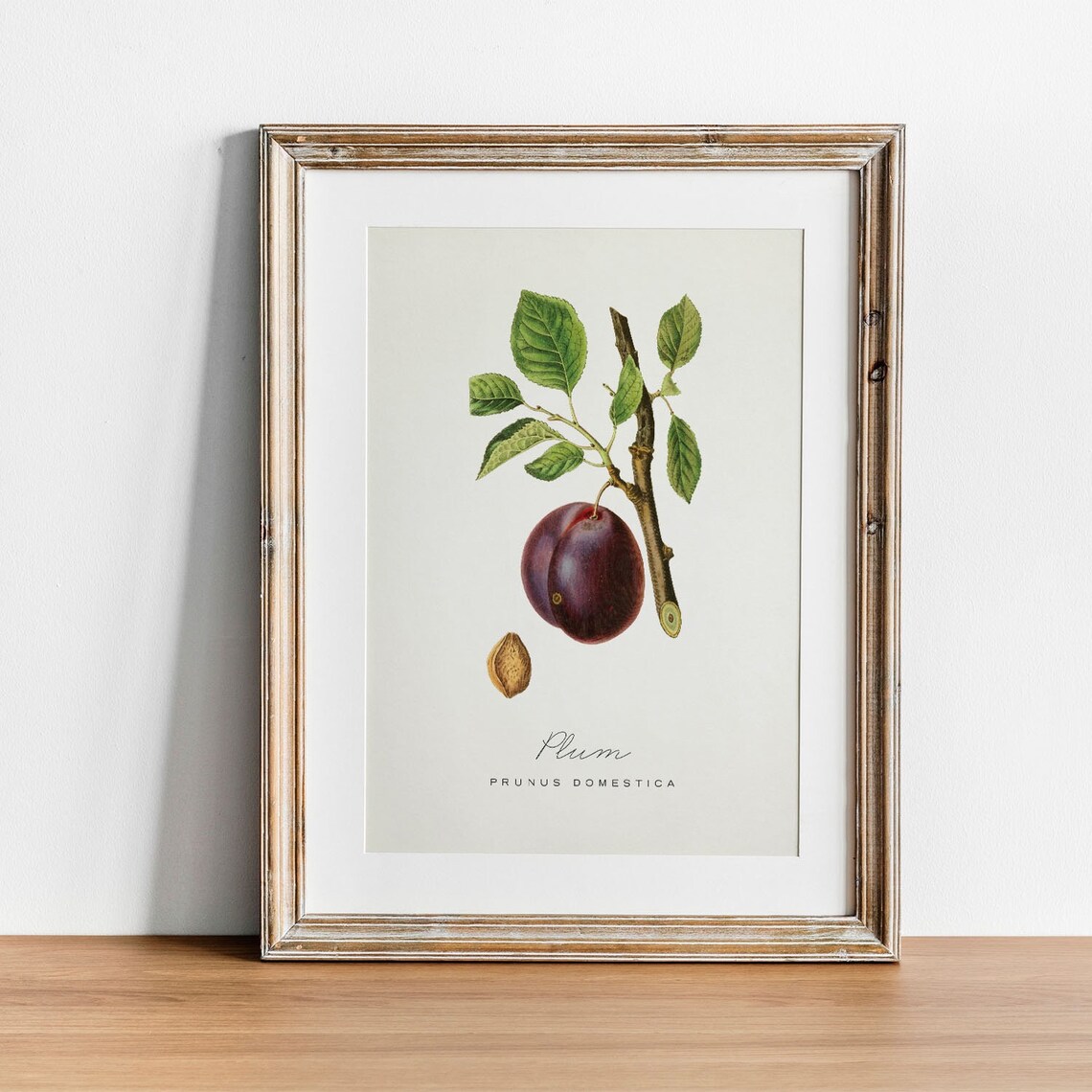 Plum Print Vintage Kitchen Art Print, Kitchen Decor - Image 3