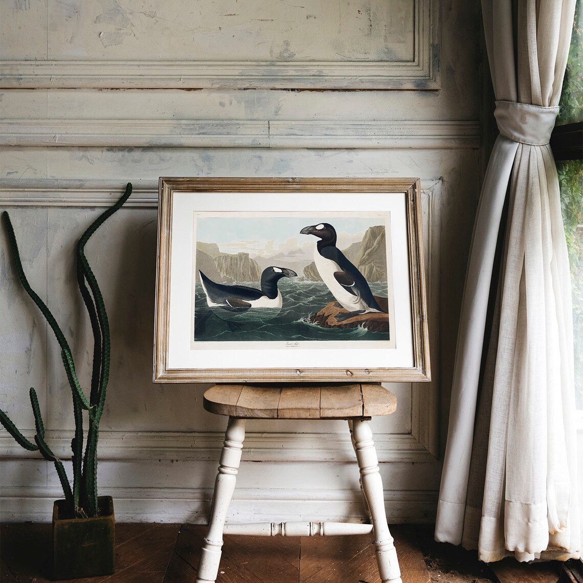 Great Auk Antique Bird Painting, Vintage Poster Print - Image 4