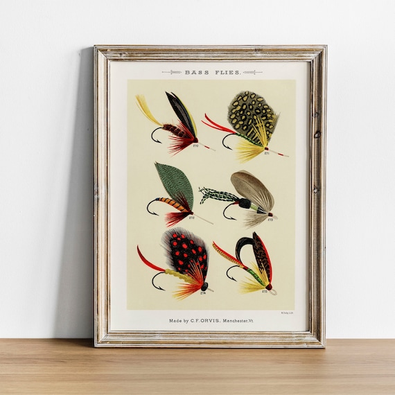 Bass Flies Fish Print Vintage Fishing Poster Wall Art Decor Gift For Dad Man Fisherman Fishing Cabin Art Fishing Lover Gift Coo40