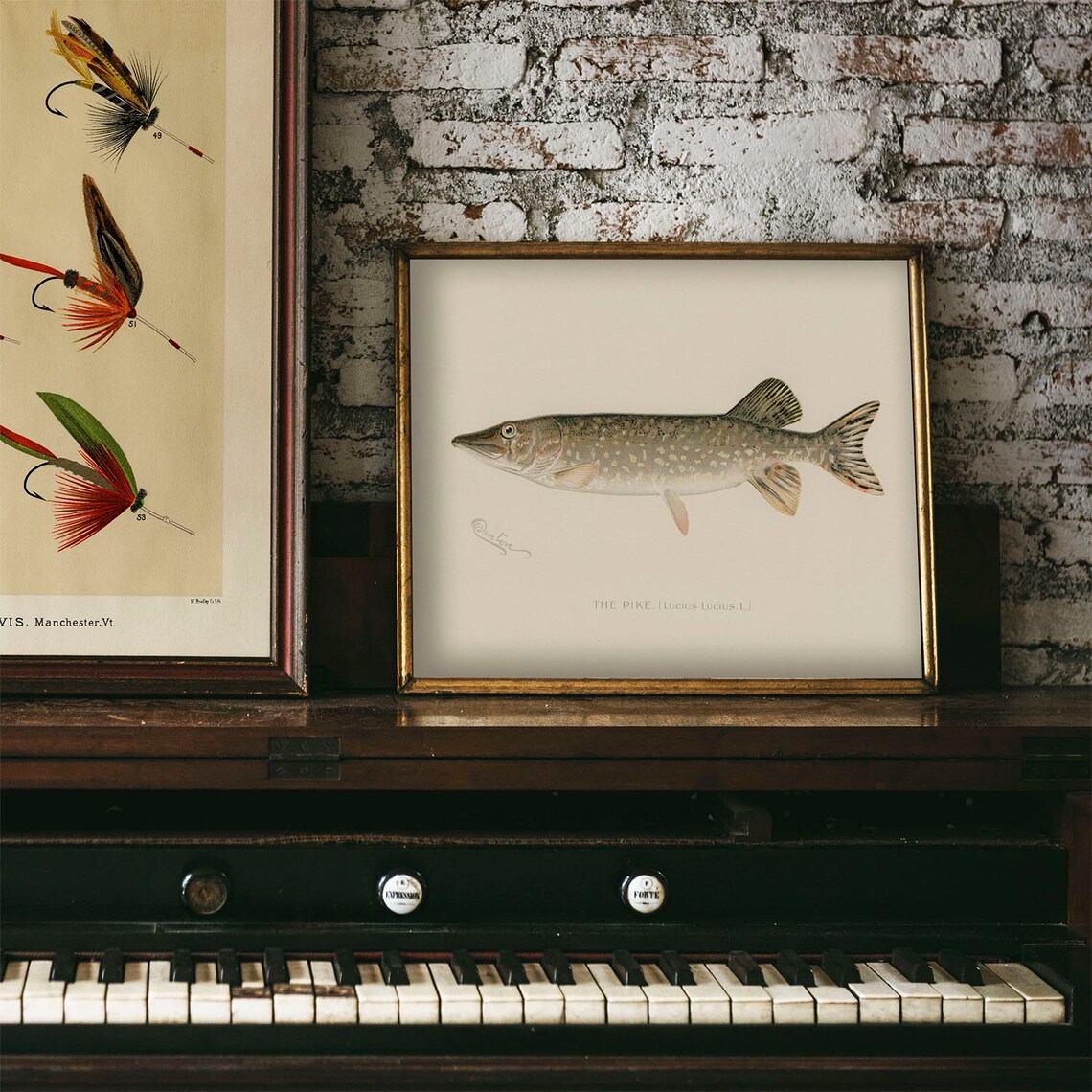 Vintage Pike Fish Art Print, Fishing Poster Decor - Image 3