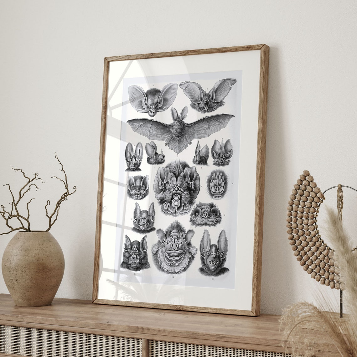 Ernst Haeckel Chiroptera Bats Black and White Scientific Art Poster - Image 4