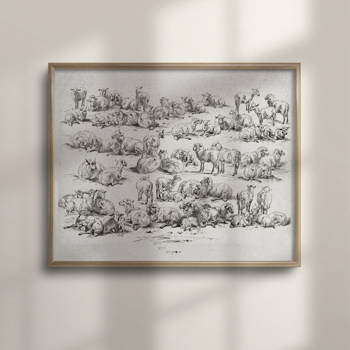 Antique Sheep Studies Sketch Sheet Vintage Farm Drawing Poster
