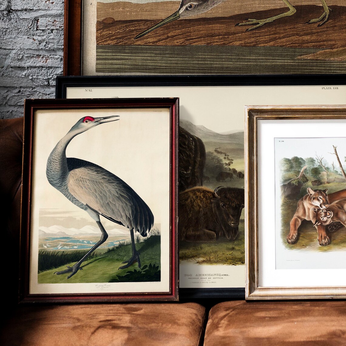 Crane Bird Antique Vintage Drawing Art Print - Image 2