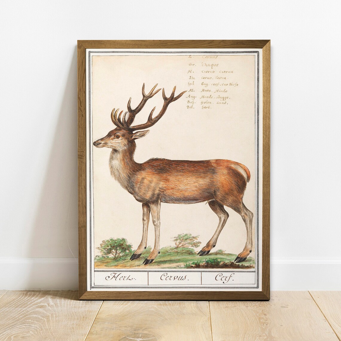 Deer Antique Space Painting Vintage Poster Print