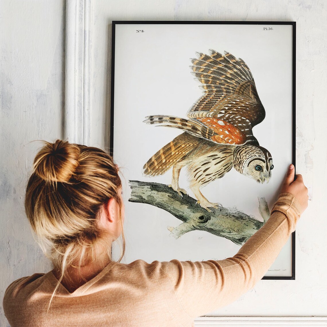 Barred Owl Antique Bird Drawing Vintage Art Print - Image 3