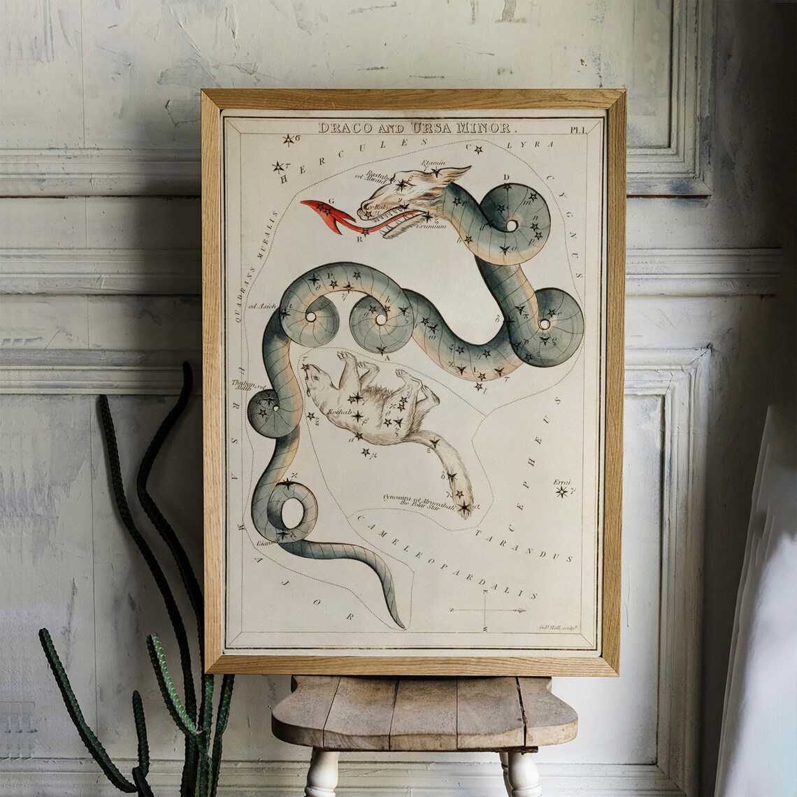 Draco Vintage Space Drawing Poster Print - Image 4