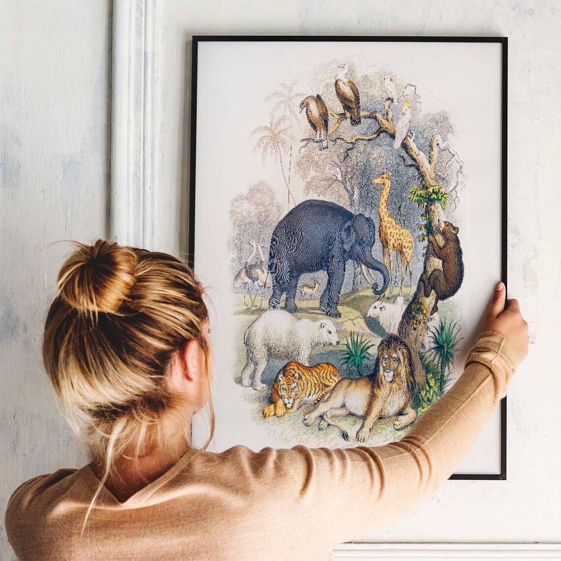 Animal Drawing Print, Antique Vintage Drawing Poster - Image 3