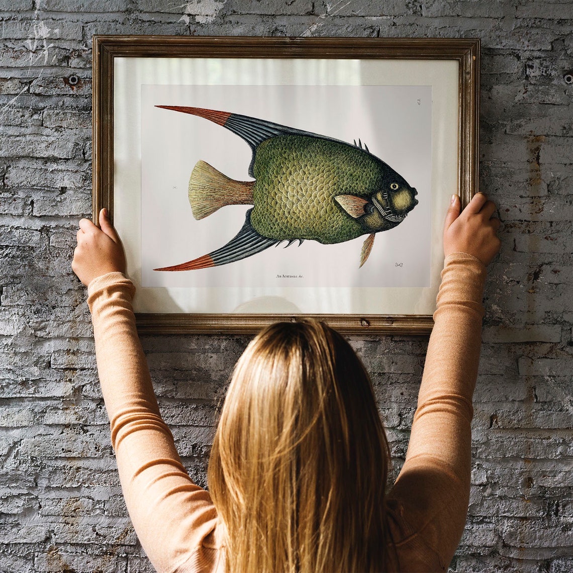 Angelfish Fish Print Vintage Fishing Poster Wall Art Decor Pterophyllum Gift For Dad Fisherman Fishing Poster Art Vintage Fishing Coo30 - Image 3