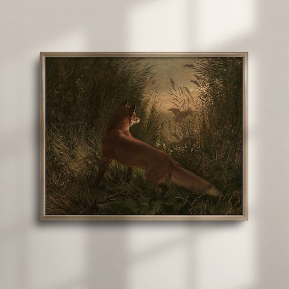 Red Fox In Tall Marsh Reeds At Dusk Vintage Woodland Wildlife Painting Poster