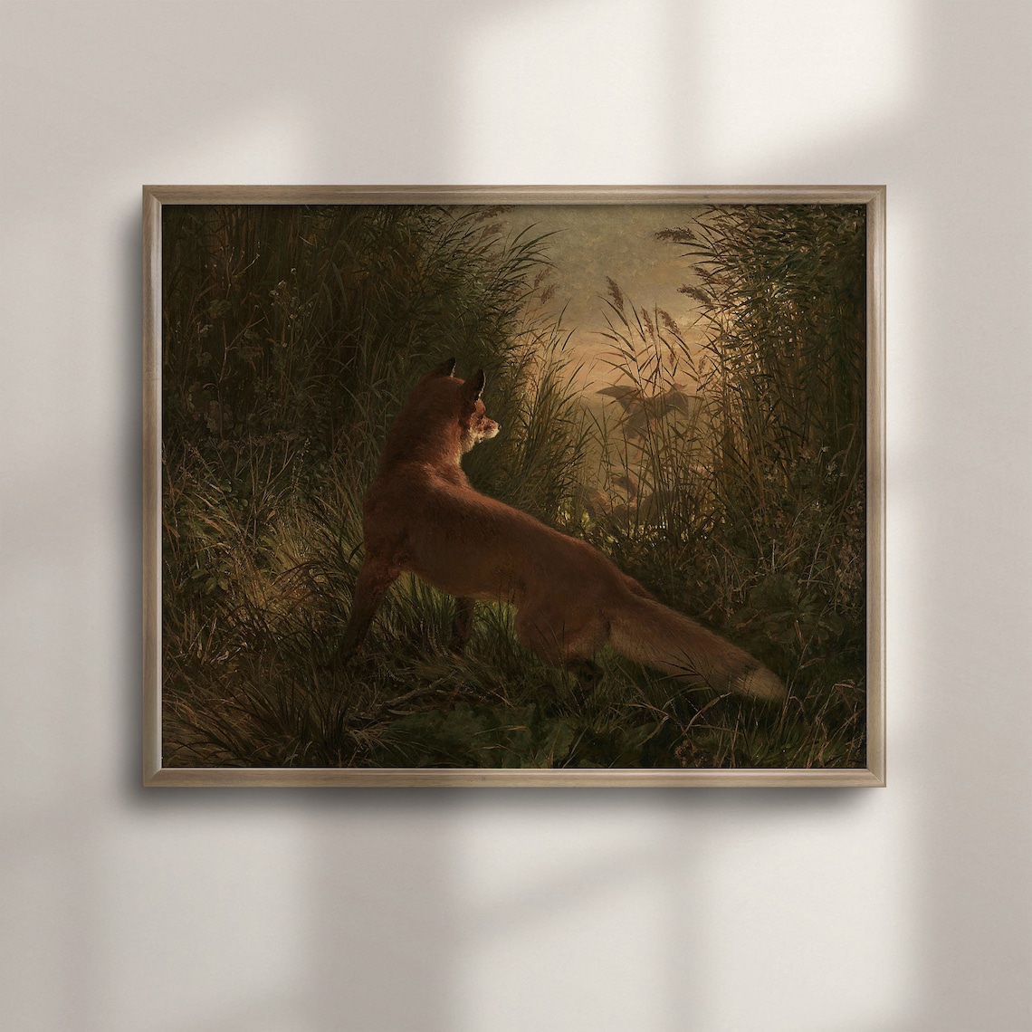 Red Fox In Tall Marsh Reeds At Dusk Vintage Woodland Wildlife Painting Poster