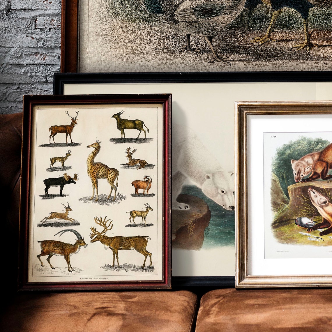 Animals With Antlers Print Antique Animal Painting Vintage Drawing Poster Wall Art Antler Animals Animal Drawing Animal Print Coo277 - Image 2